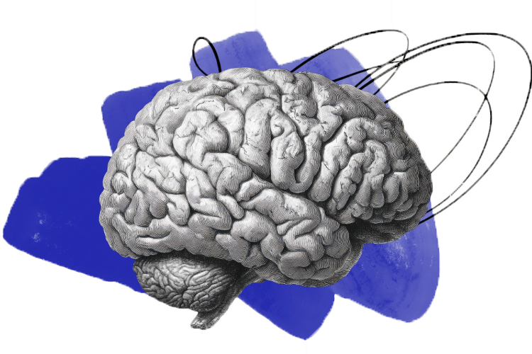 Brain (blue) collage
